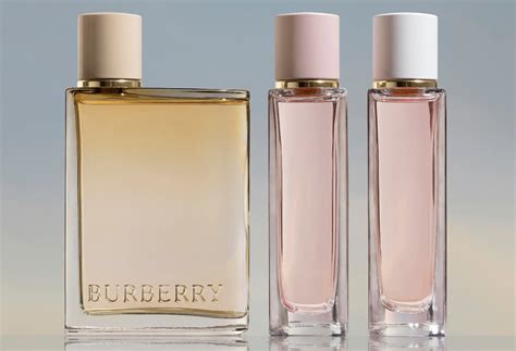 3.3 burberry her|burberry perfume for her price.